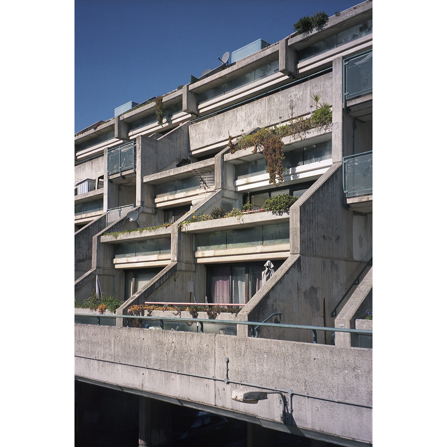 konica-z-up-110-sample-photo-2