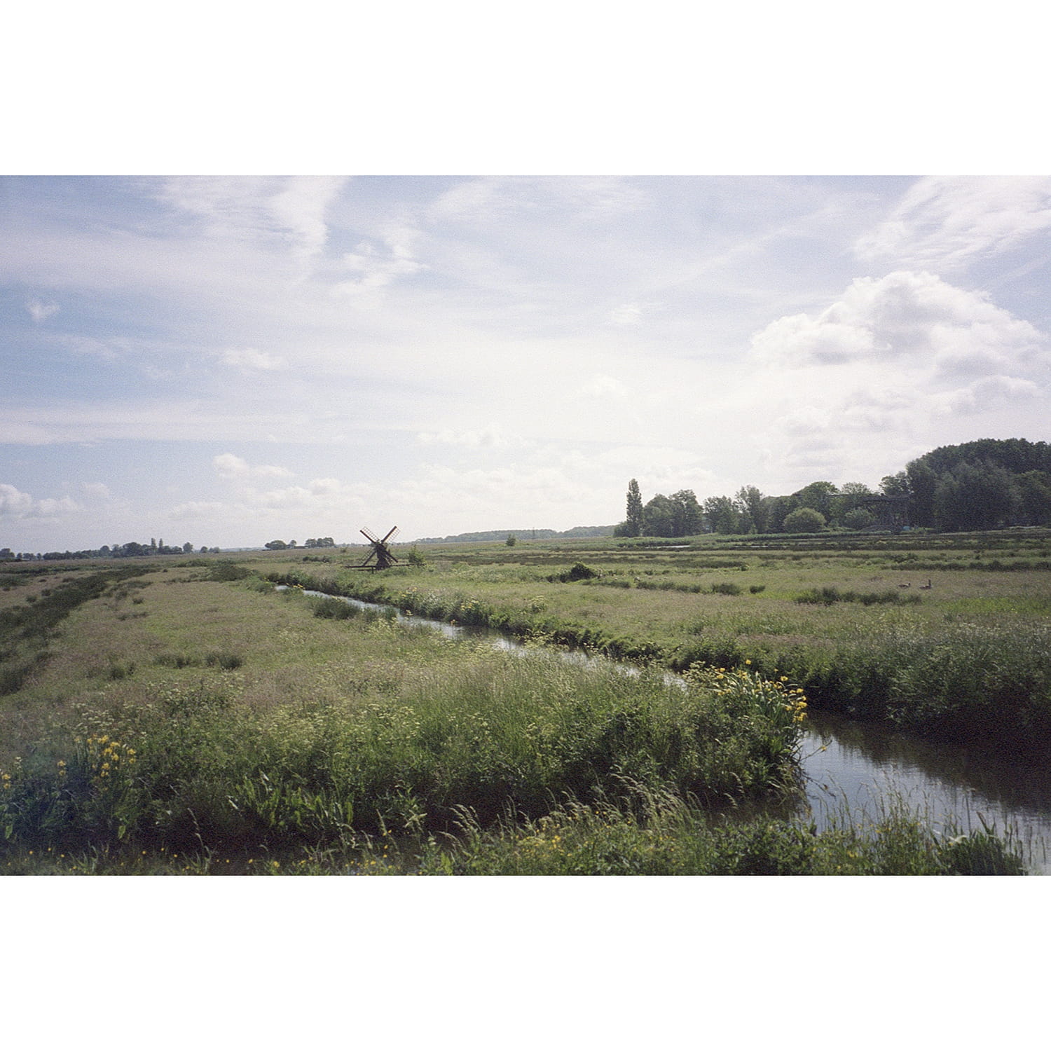 konica-z-up-110-sample-photo-3