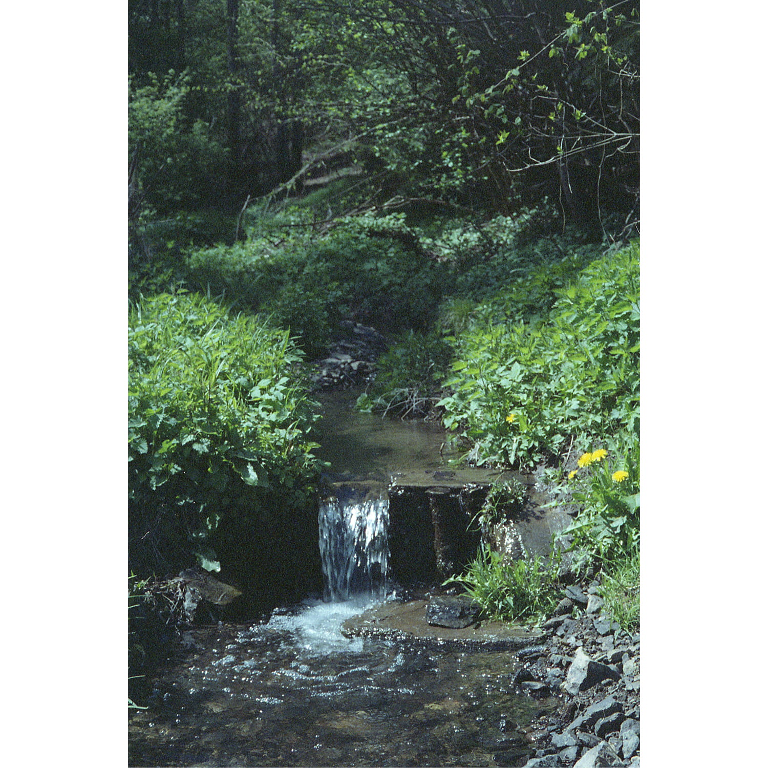 olympus-az-220-widezoom-sample-photo-3