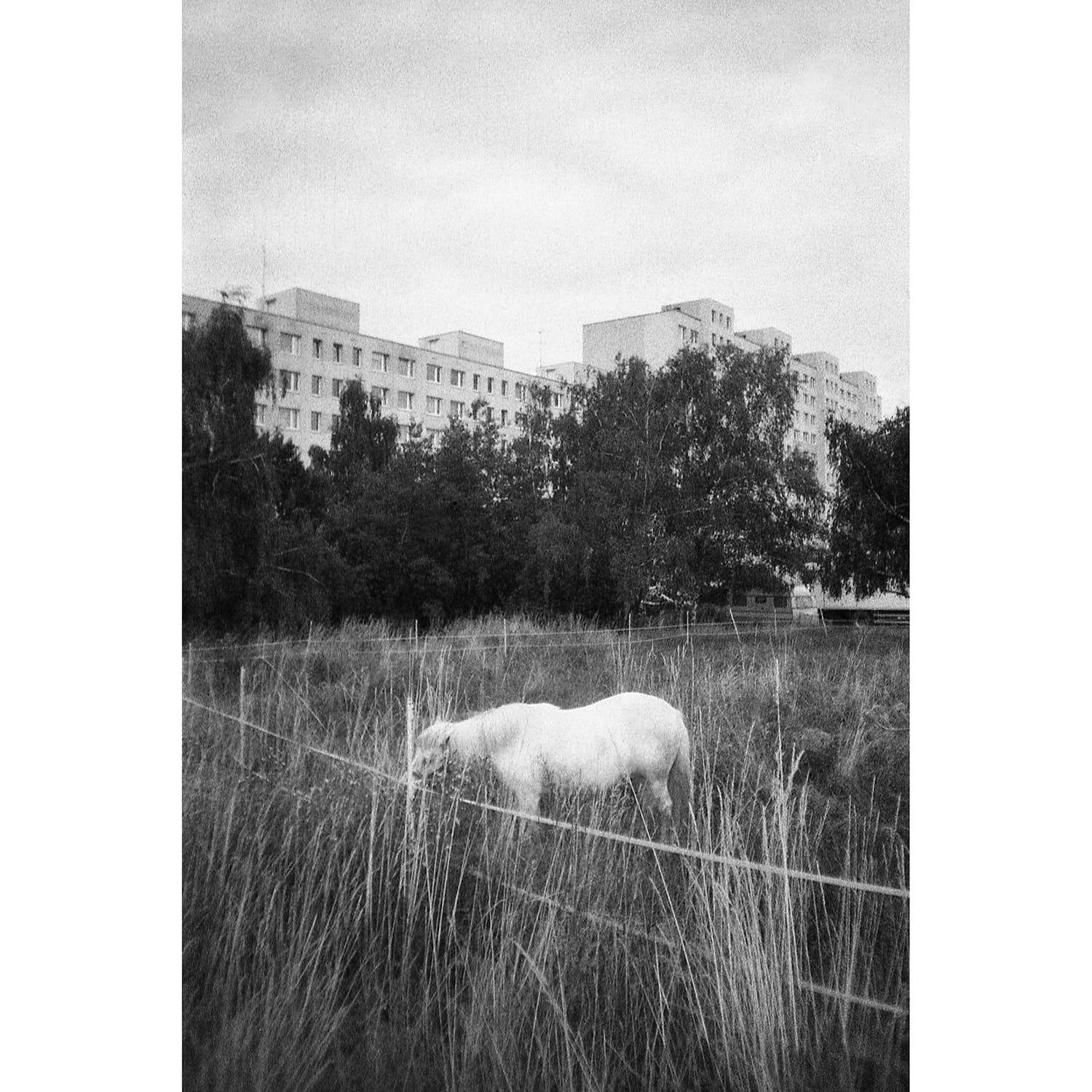 olympus-superzoom-80g-sample-photo-2