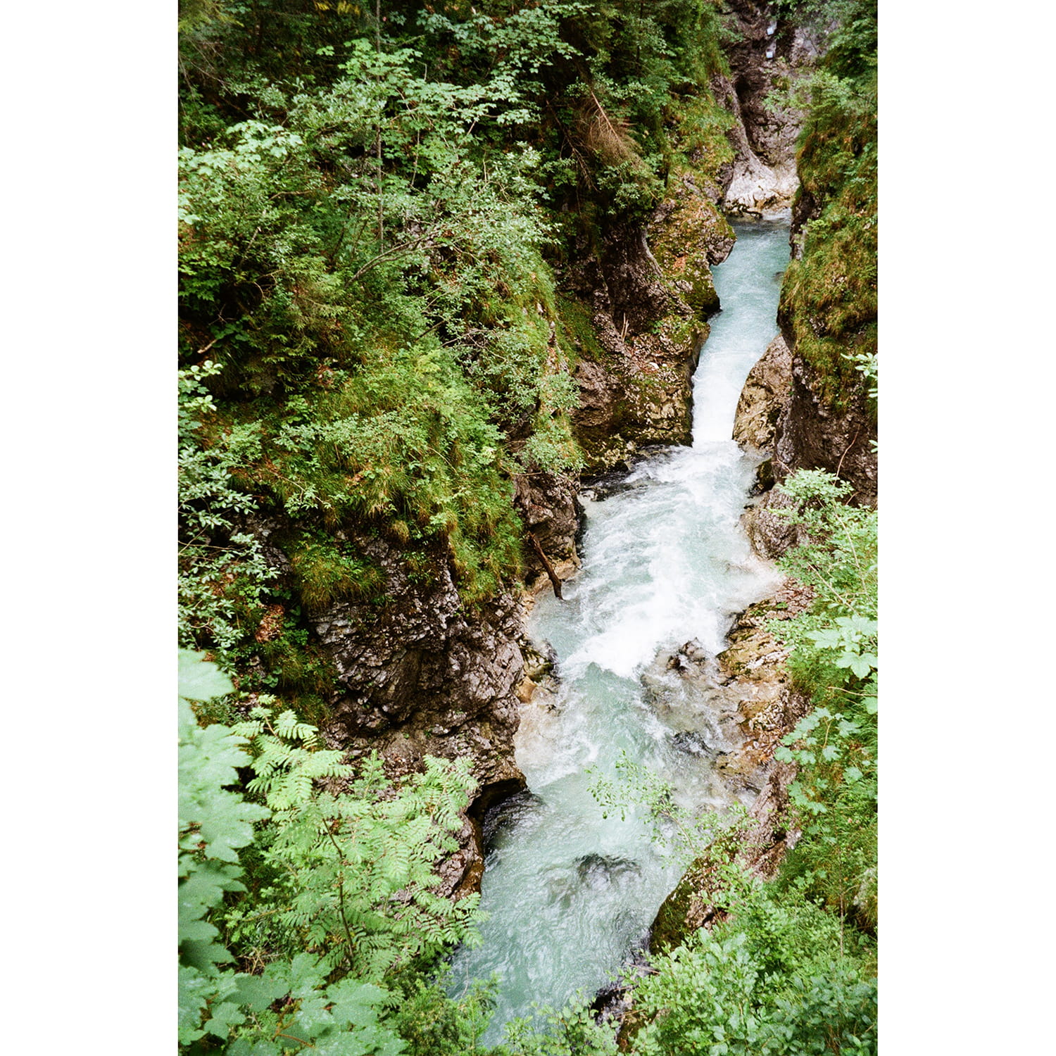 olympus-view-zoom-80-sample-photo-2