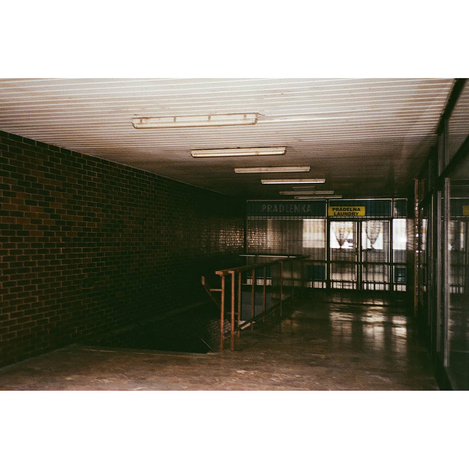 fujifilm-clearshot-50-af-sample-photo-1