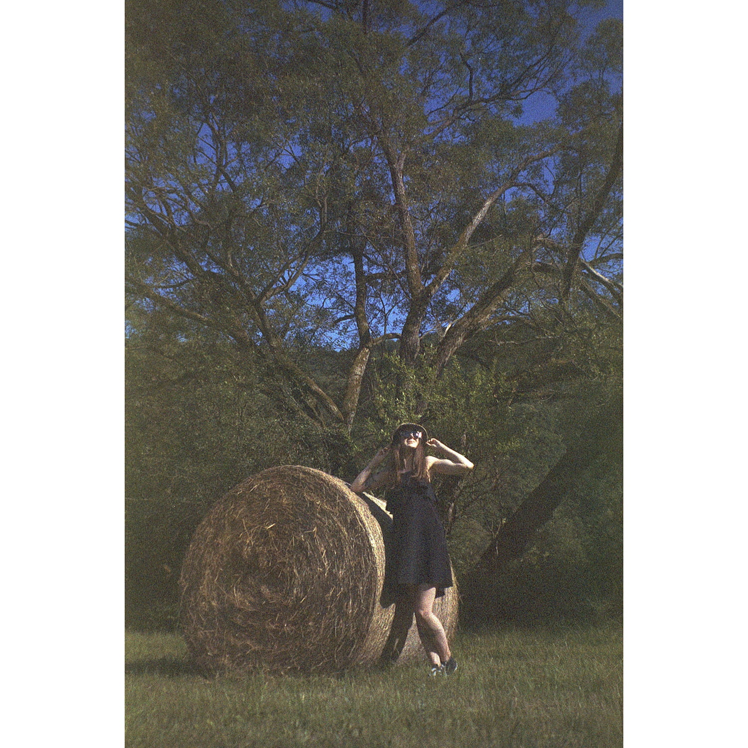 vivitar-zm95-photo-sample-2