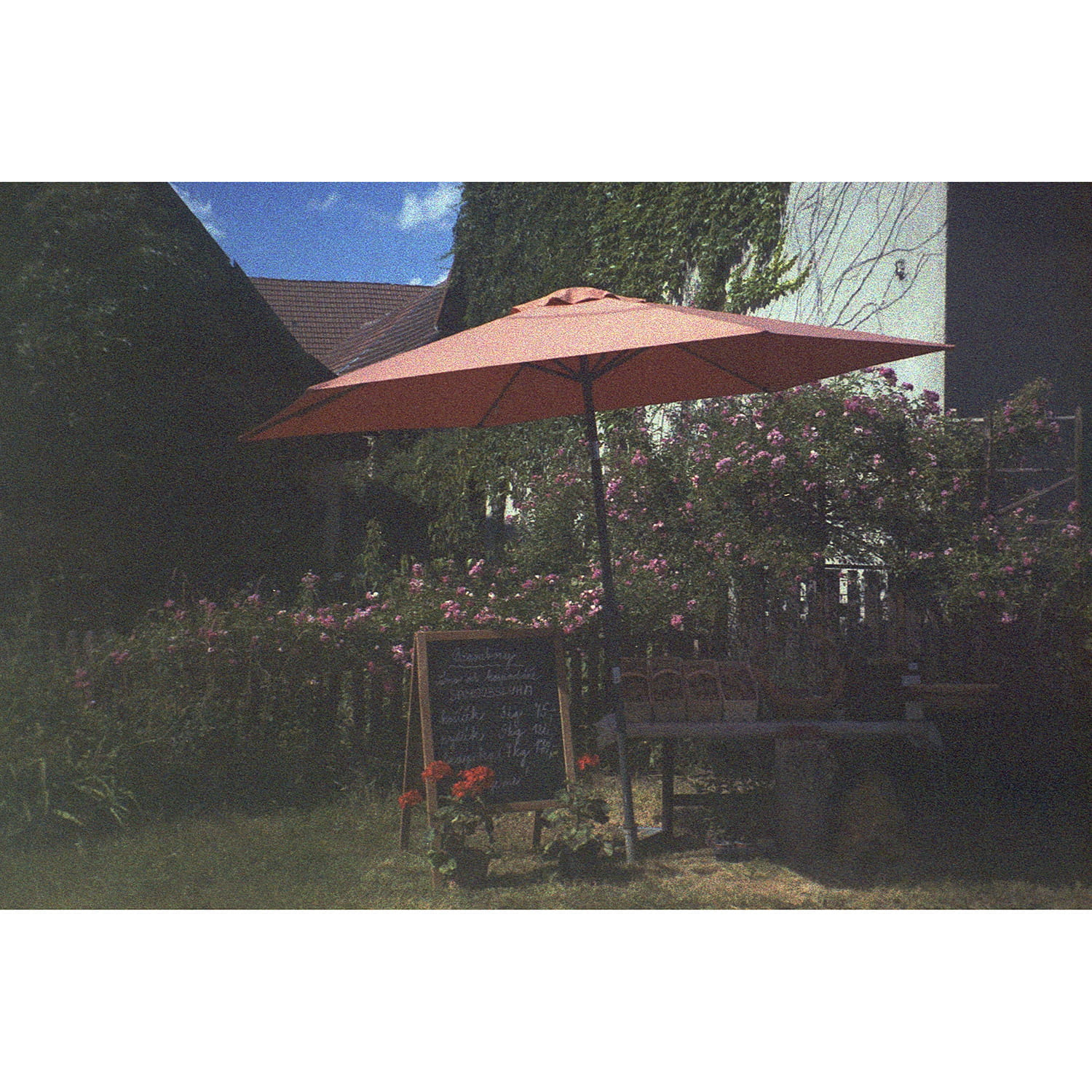 vivitar-zm95-photo-sample-3