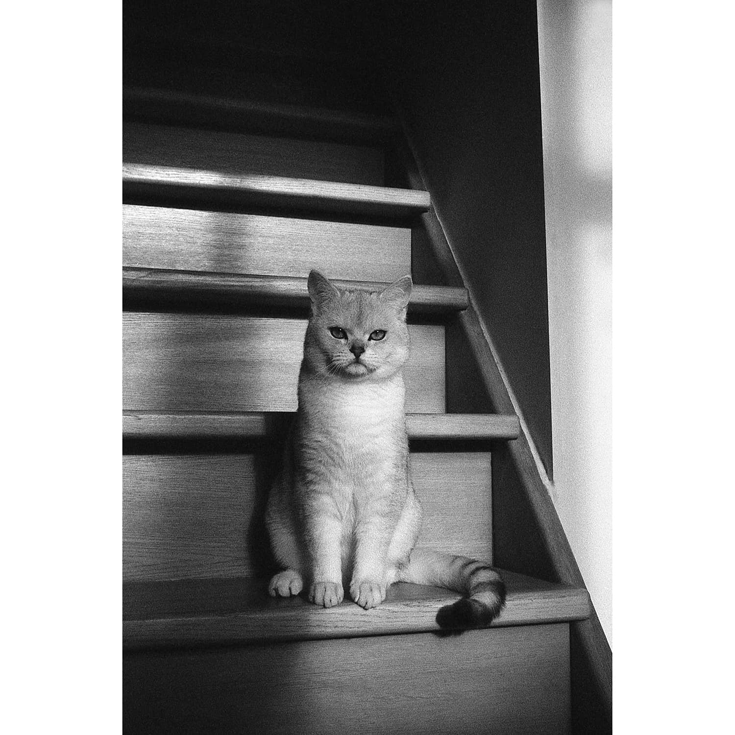 minolta-hi-matic-f-02-sample-photo-2