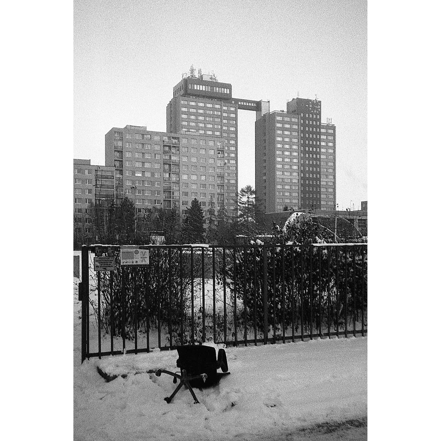 yashica-af-partner-01-sample-photo-1