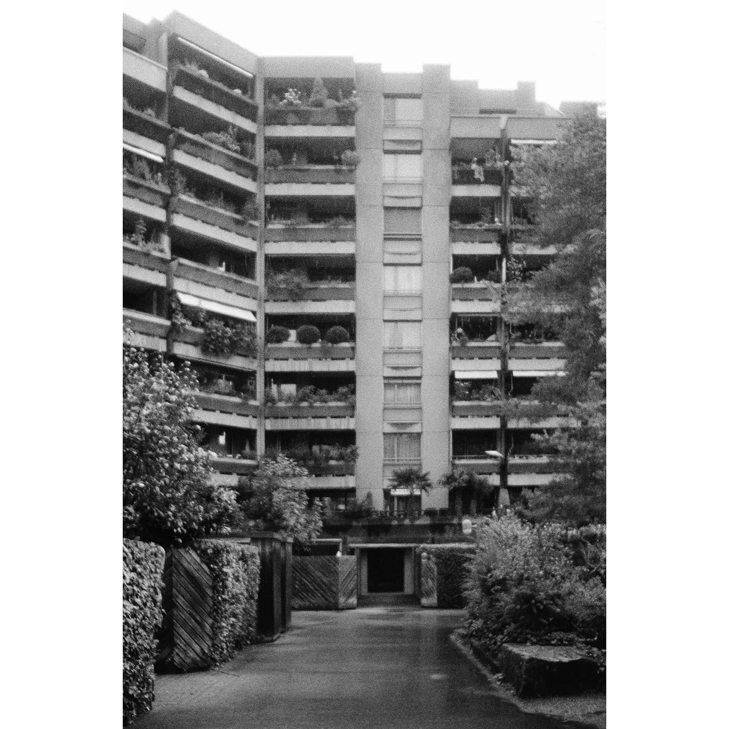 olympus-trip-20-af-sample-photo-4