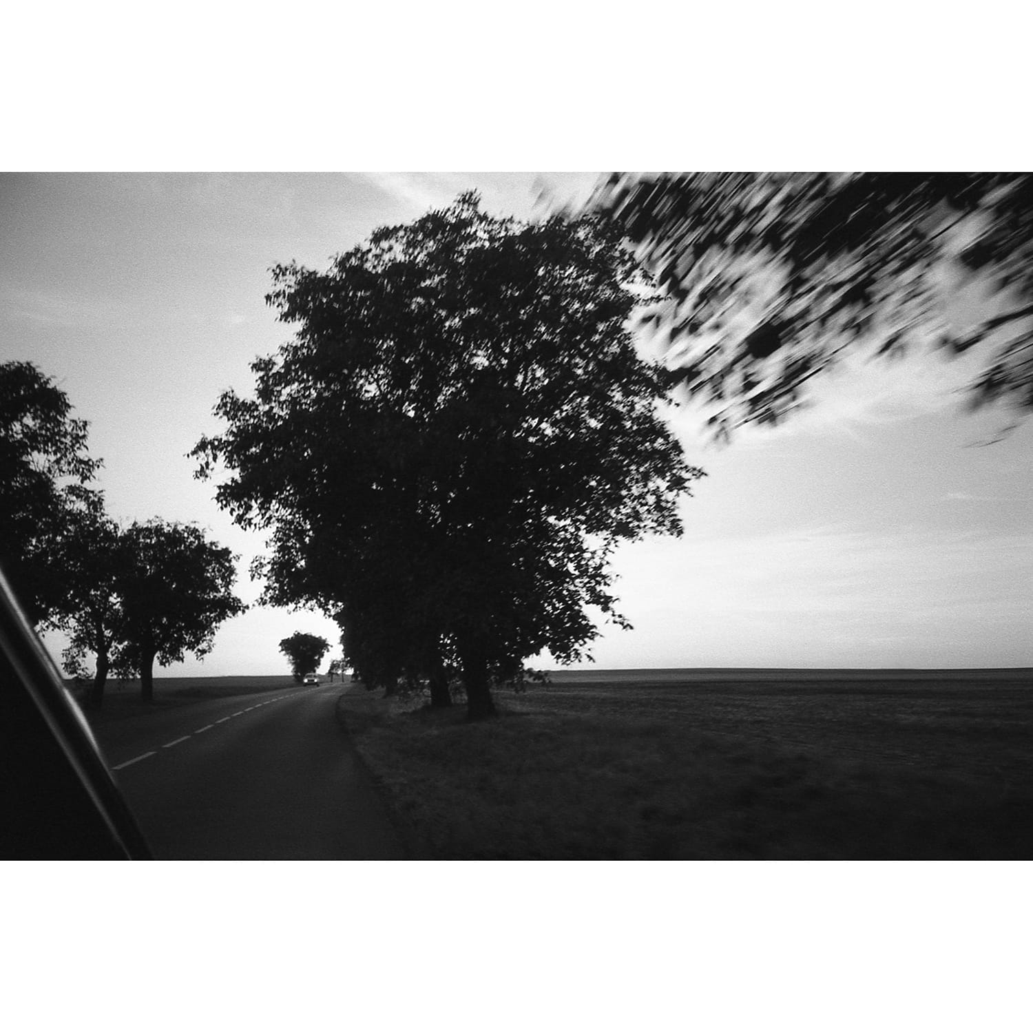 olympus-trip-md-sample-photo-2