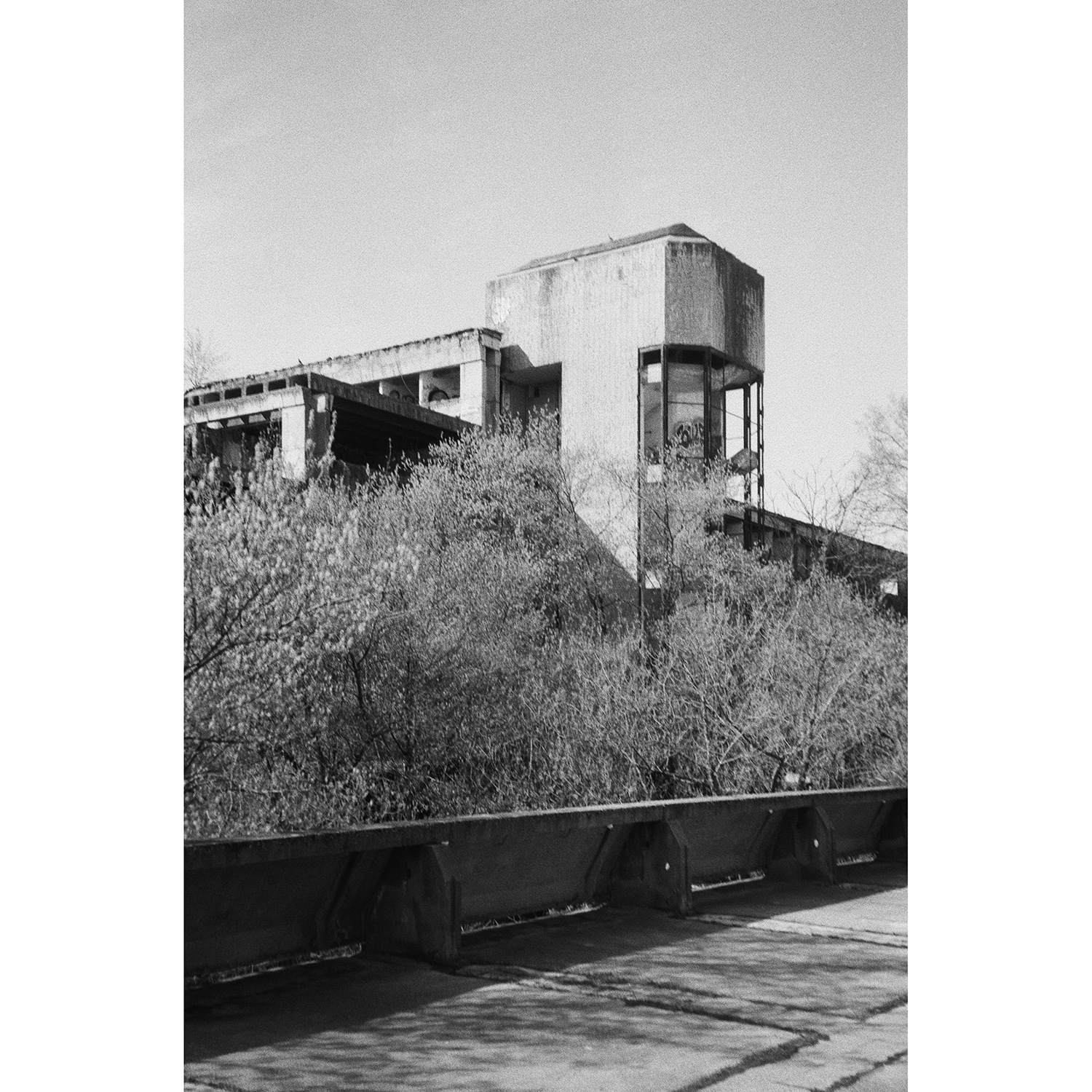 olympus-superzoom-800-2-sample-photo-4