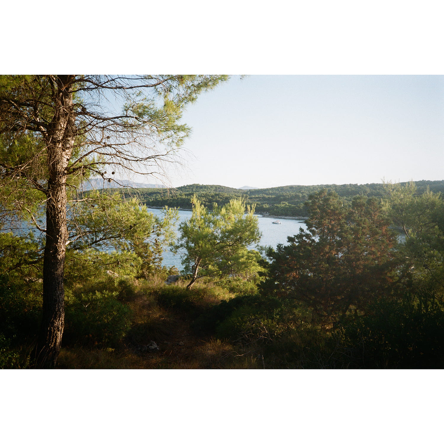 panasonic-c500af-sample-photo-2